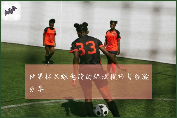 世界杯买球竞猜的玩法技巧与经验分享
