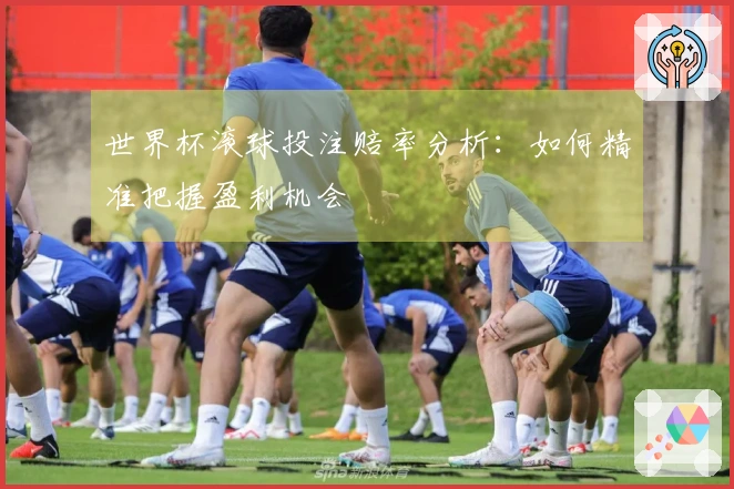 世界杯滚球投注赔率分析：如何精准把握盈利机会
