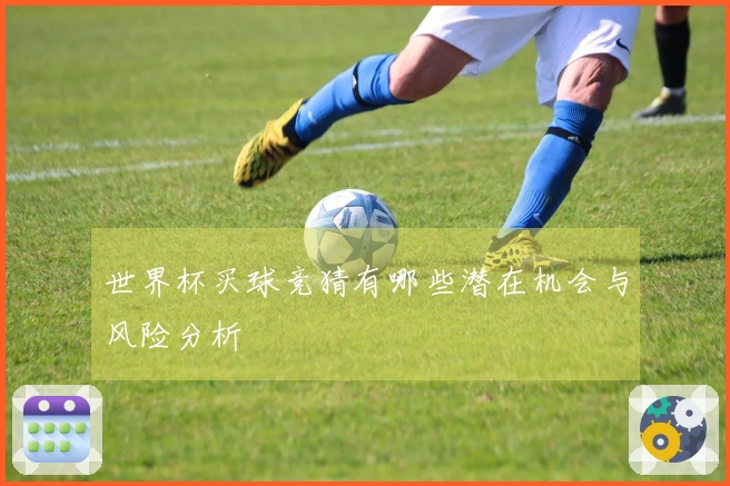 世界杯买球竞猜有哪些潜在机会与风险分析