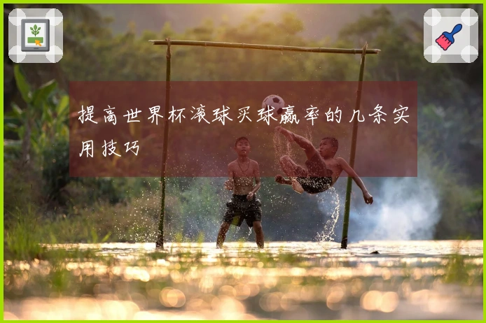 提高世界杯滚球买球赢率的几条实用技巧
