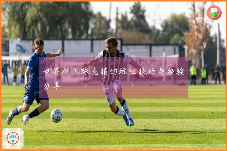 世界杯买球竞猜的玩法技巧与经验分享