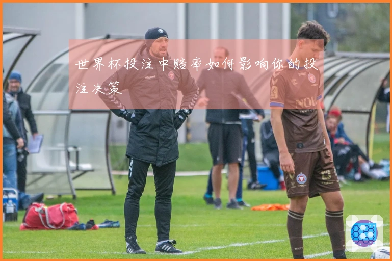 世界杯投注中赔率如何影响你的投注决策